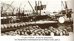 PO e- 368